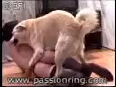 Married woman clothed in nasty stockings lays on the floor then welcomes sex with an beast 